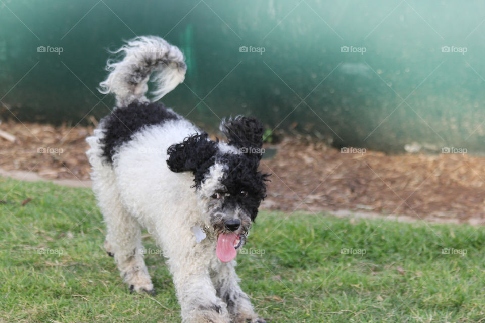 Landing after departing above