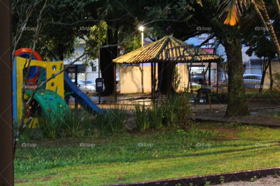 Tree, No Person, House, Landscape, Wood