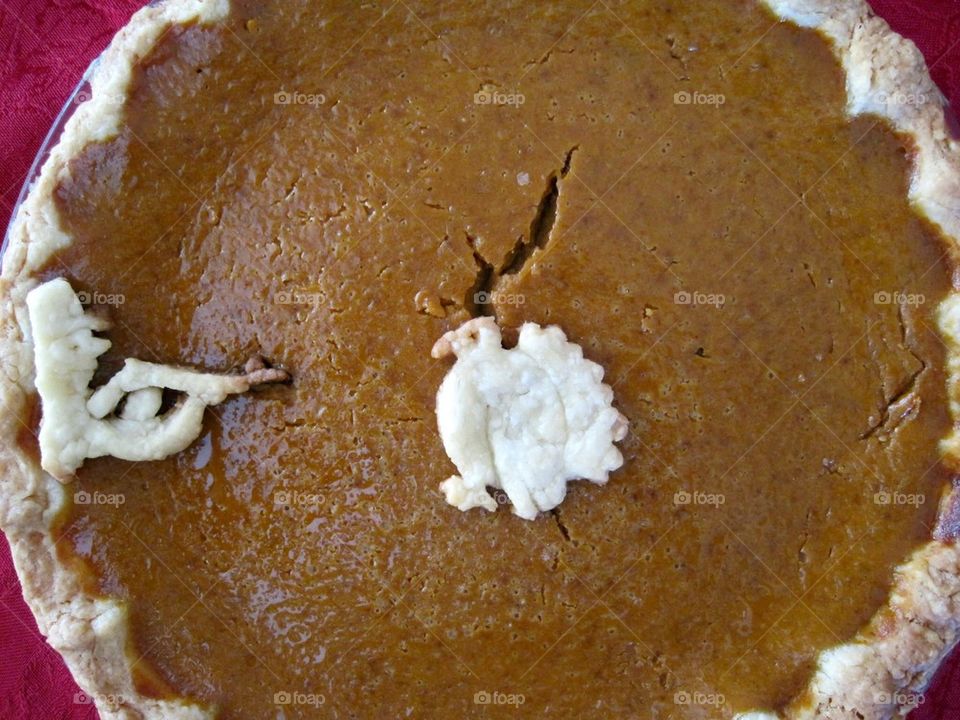 Thanksgiving Reality Pie