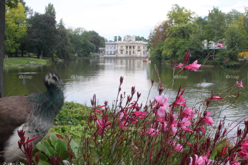 Summer palace Warsaw Poland boat ride available for cool fun loving visitors