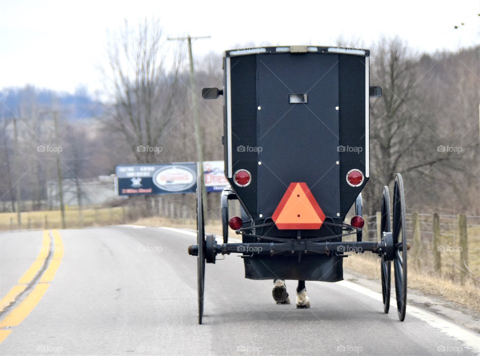 Amish horse and buggy on the road, back view 