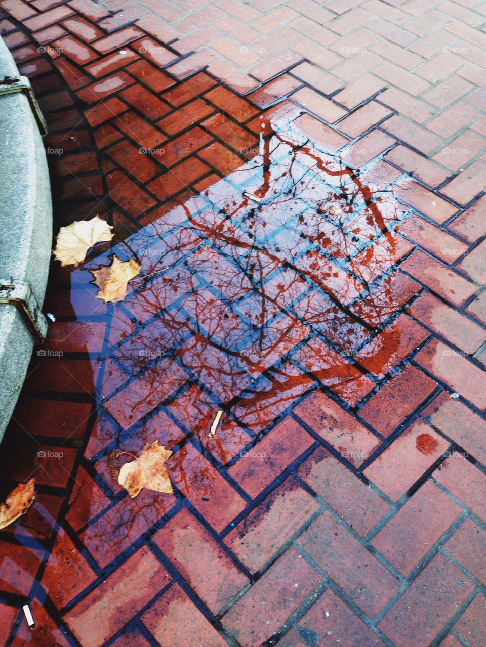 City puddle