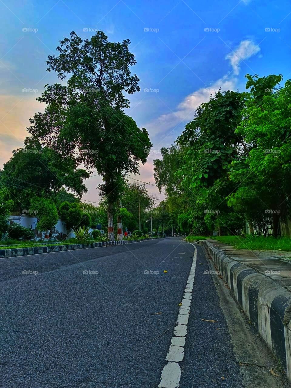It looks so peaceful and serene! Nature's embrace.This place looks so calm and beautiful. It's an empty street surrounded by trees.