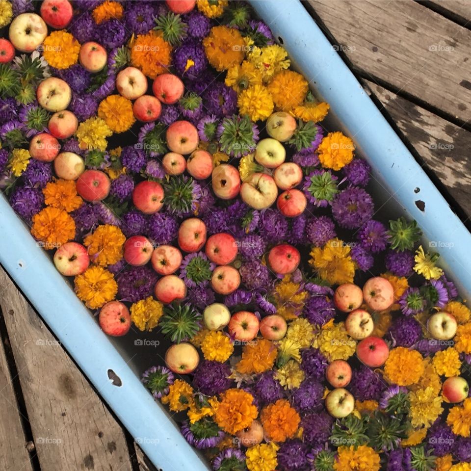 Autumn potpourri with apples and flowers from above. 