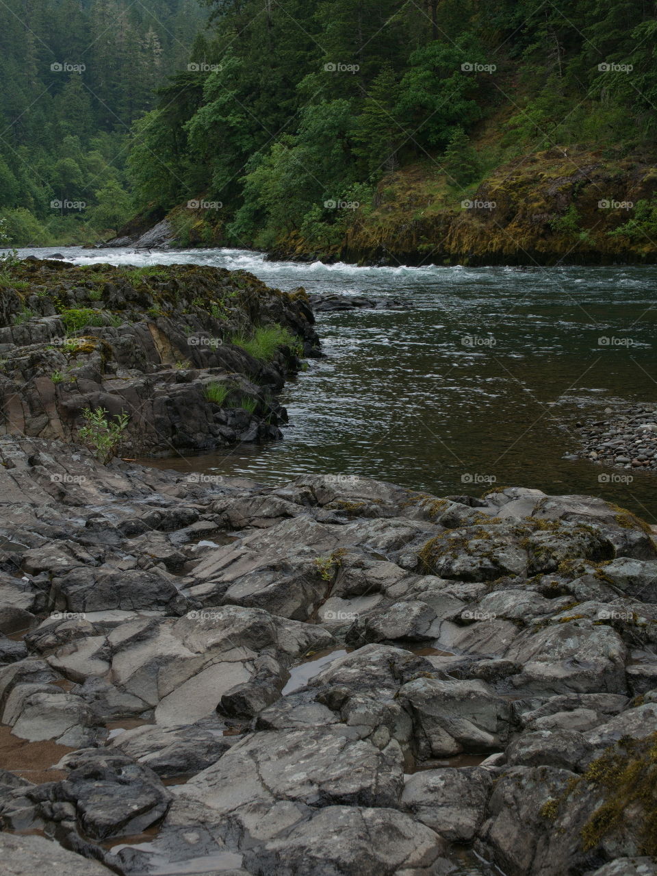 Boulders and rocks line the river banks of the magnificent waters of the Umpqua River in Southwestern Oregon on a summer morning. 