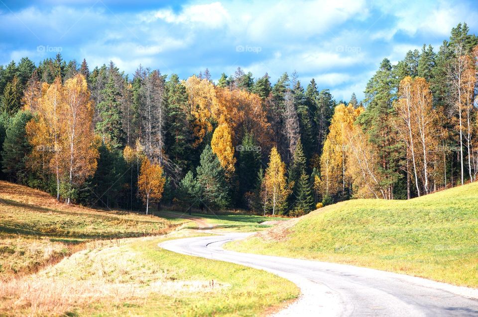 Autumn road landscape