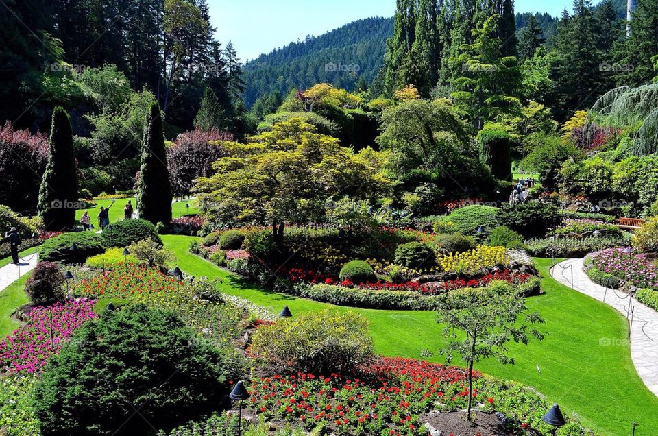 Butchart gardens