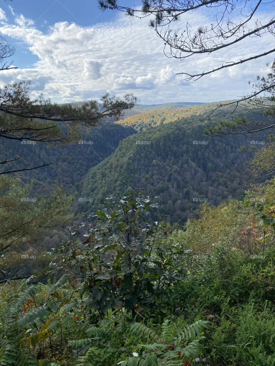 Pa Grand Canyon 