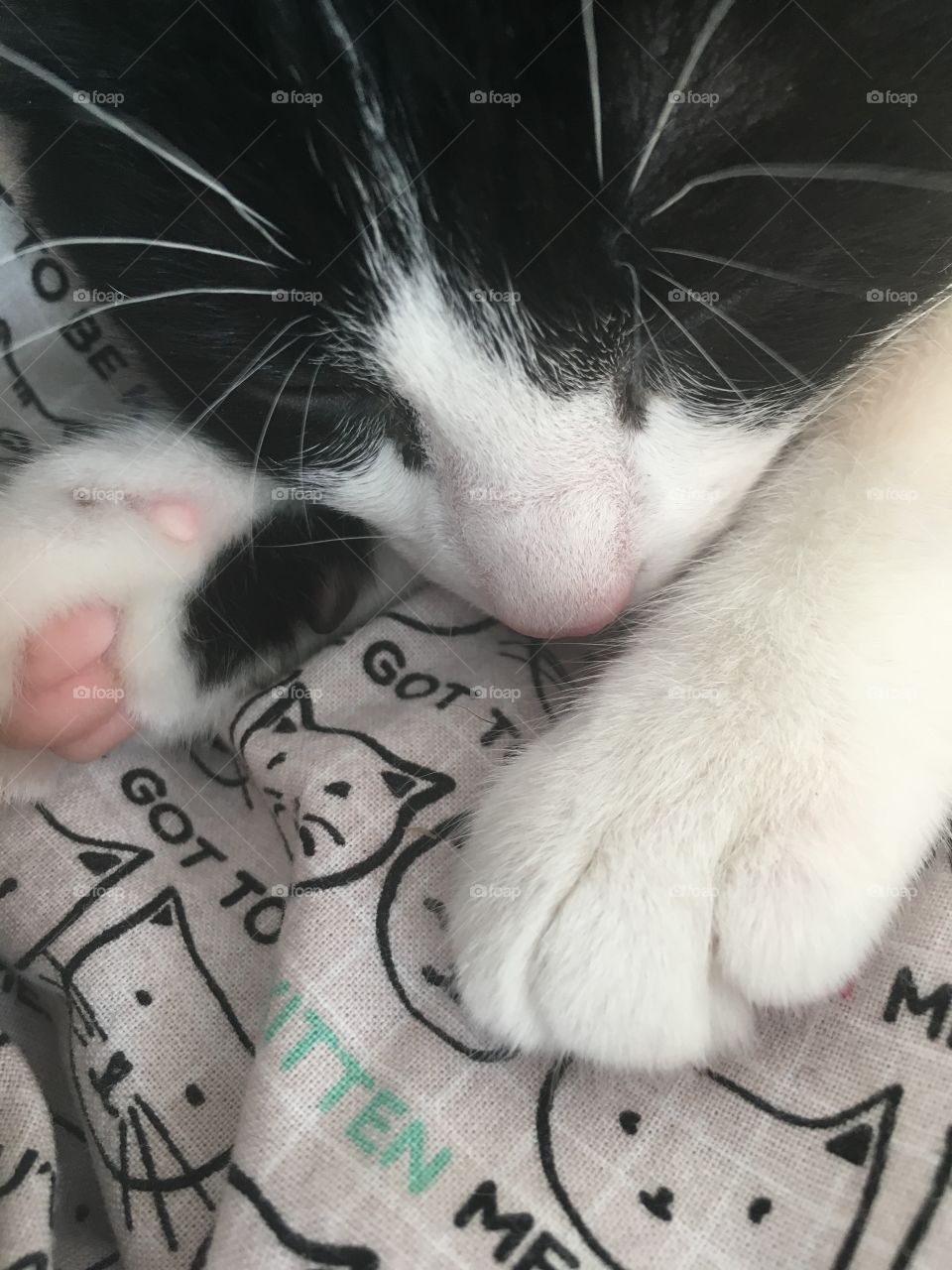 Baby paws