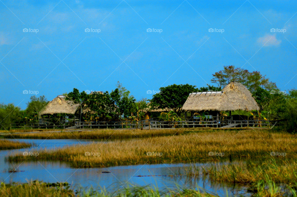 Seminole Everglades huts. Seminole Everglades huts
