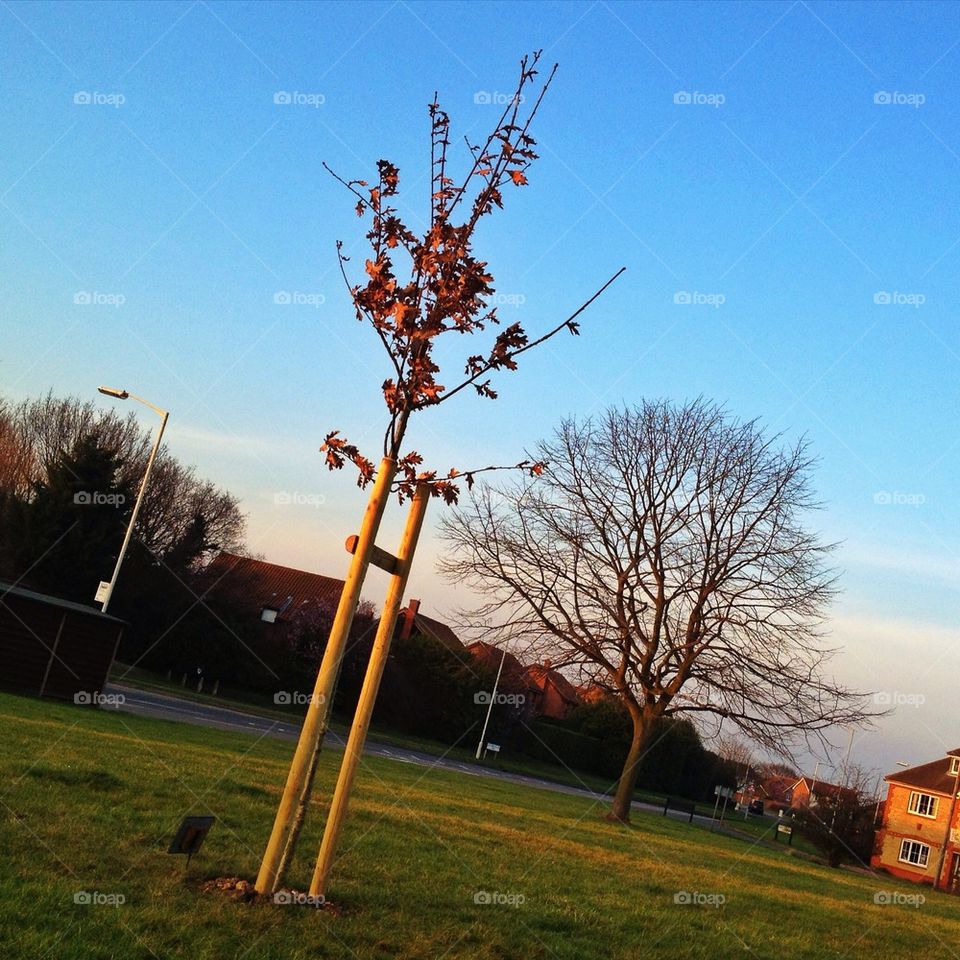 landscape sky spring grass by numptyboy