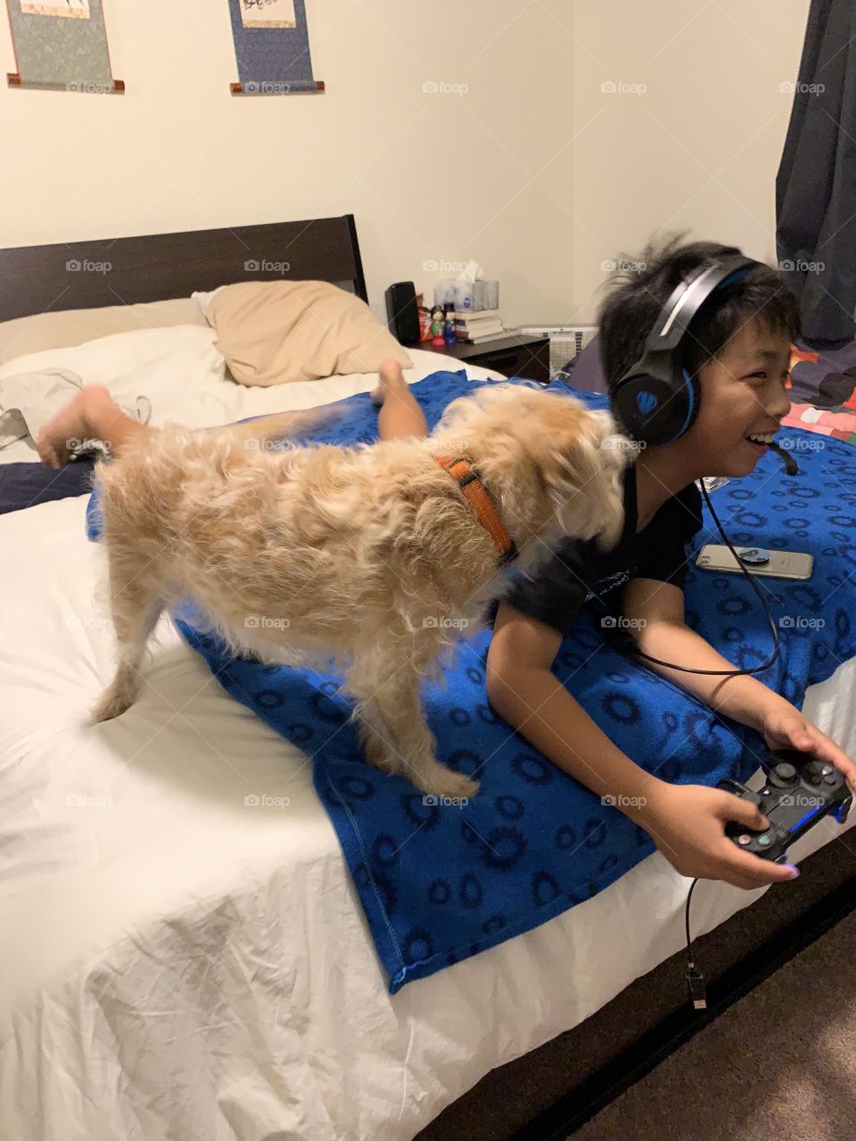 Kids dogs and video games