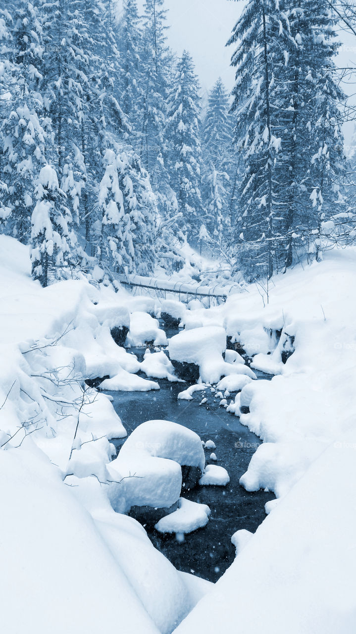 Snow, Winter, Cold, Ice, Mountain