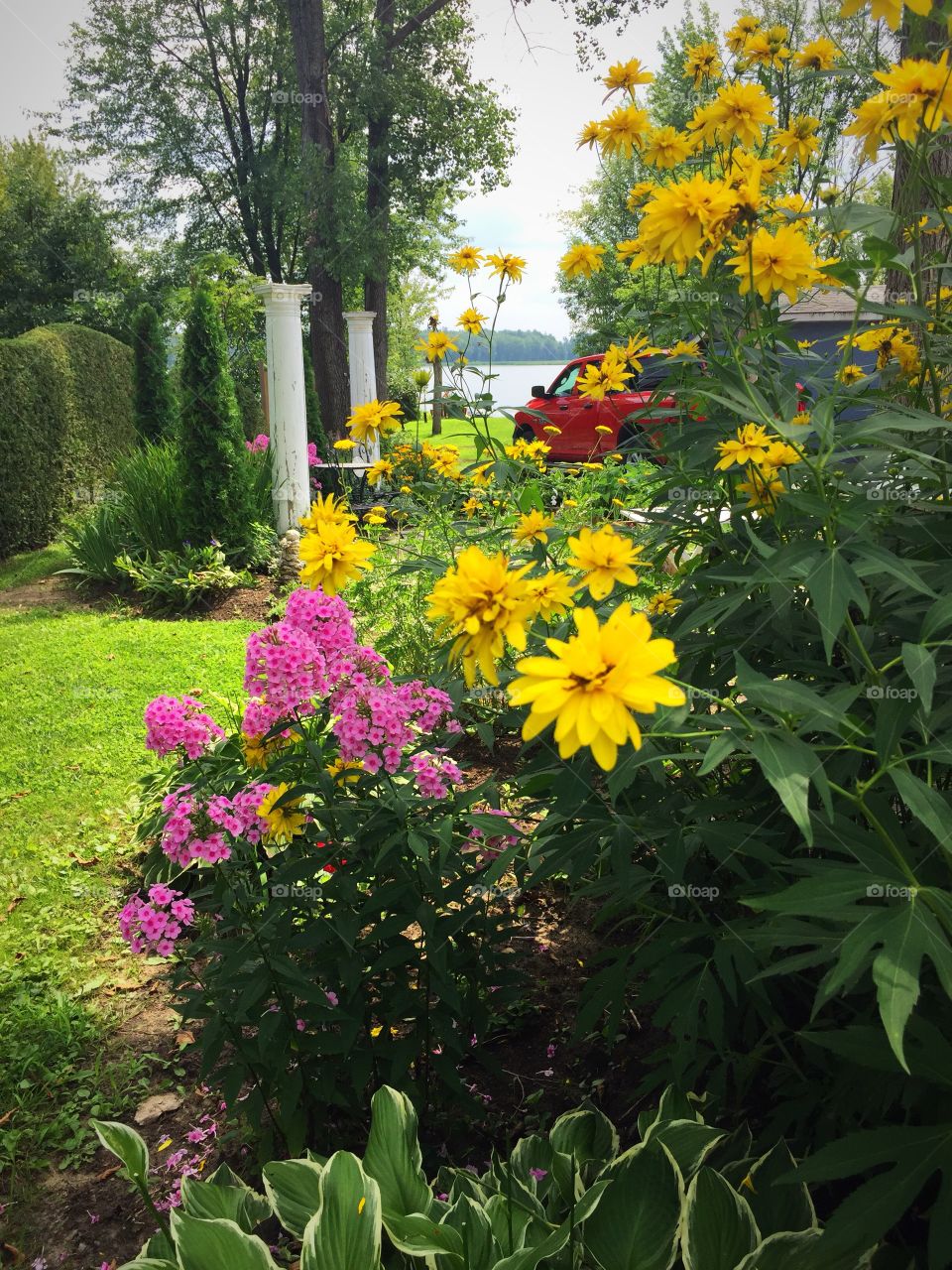 Backyard gardens 