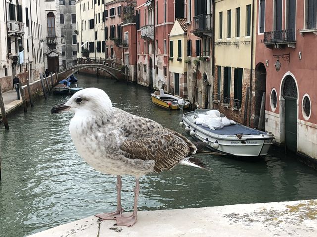 Venice