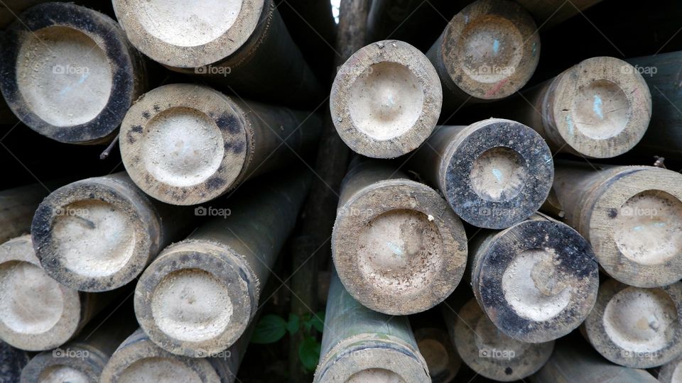 Bamboo sticks cut with visible ends in a circle