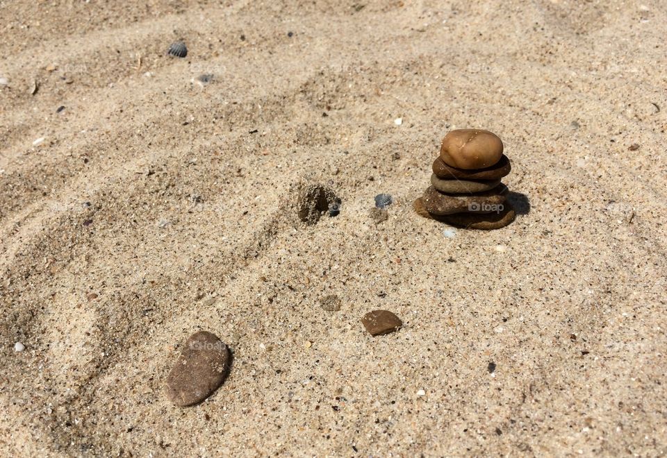 Beach with shells and stones