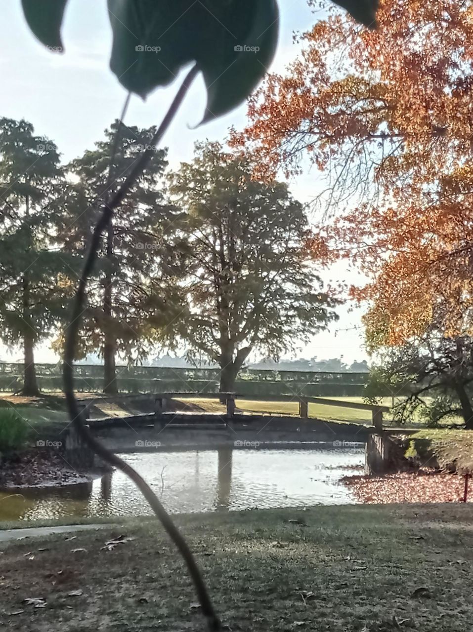 city lagoon with bridge / Laguna del golf de San Isidro