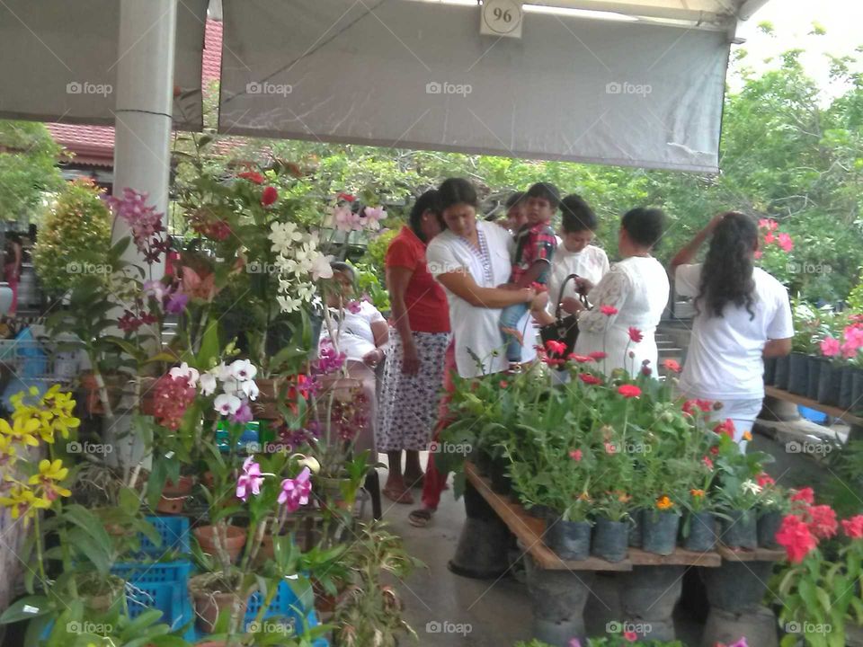 flowers sale