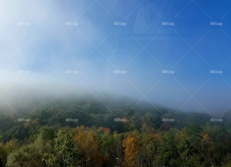 fog rolling in at Canoe Creek