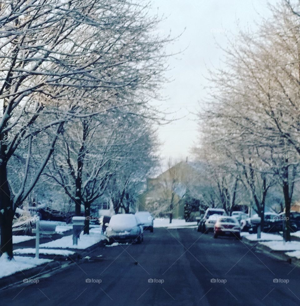 A Late Winter Morning