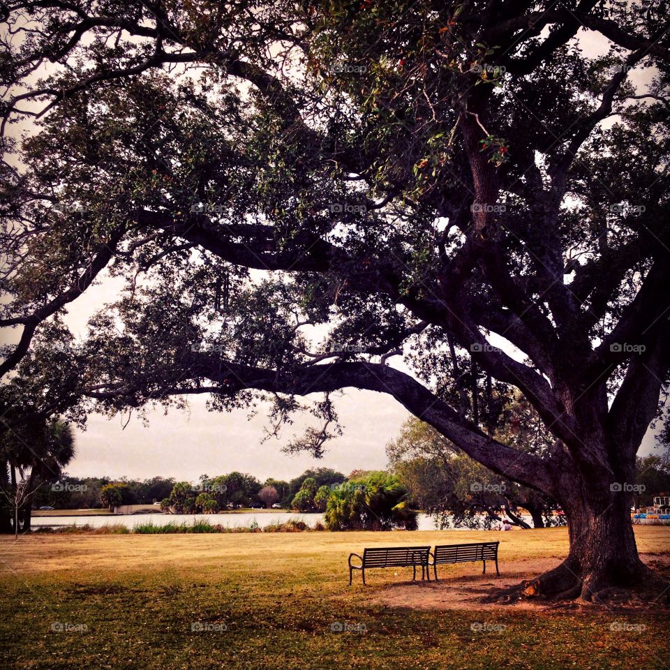 Park in New Orleans 