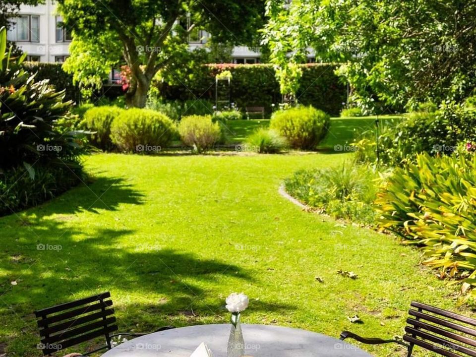 Greeny and beautiful garden