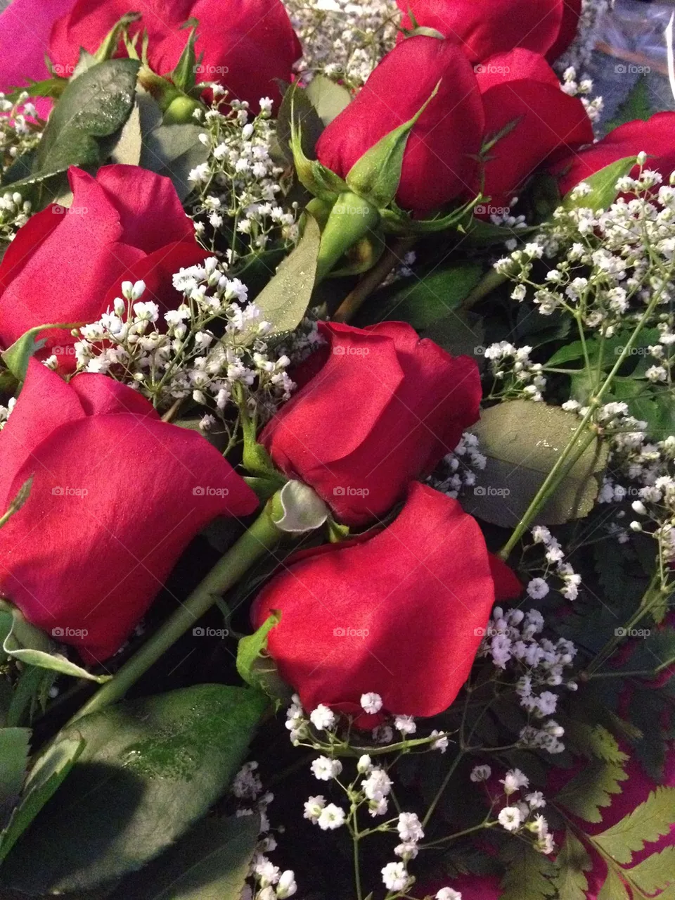 Roses