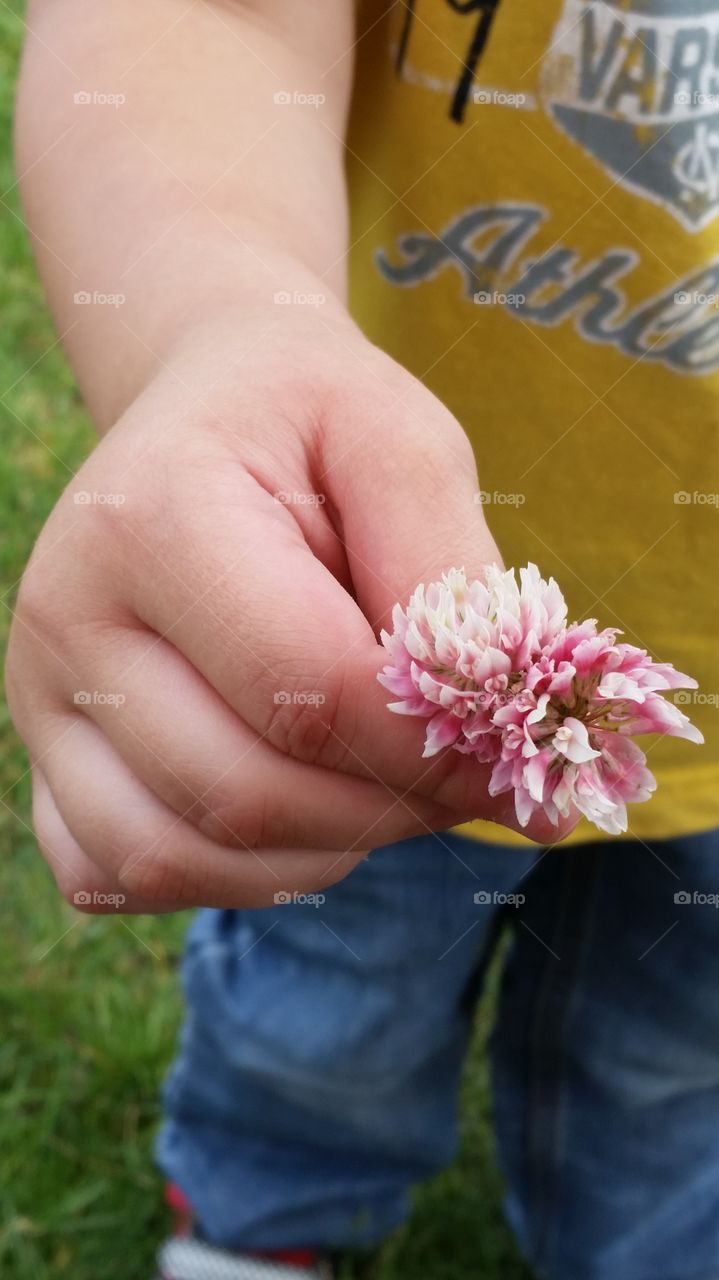 I picked a flower for you mommy