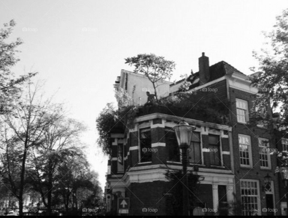 Amsterdam house