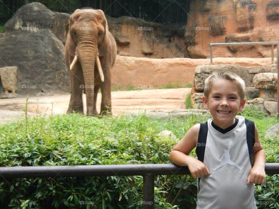 Boy at the zoo