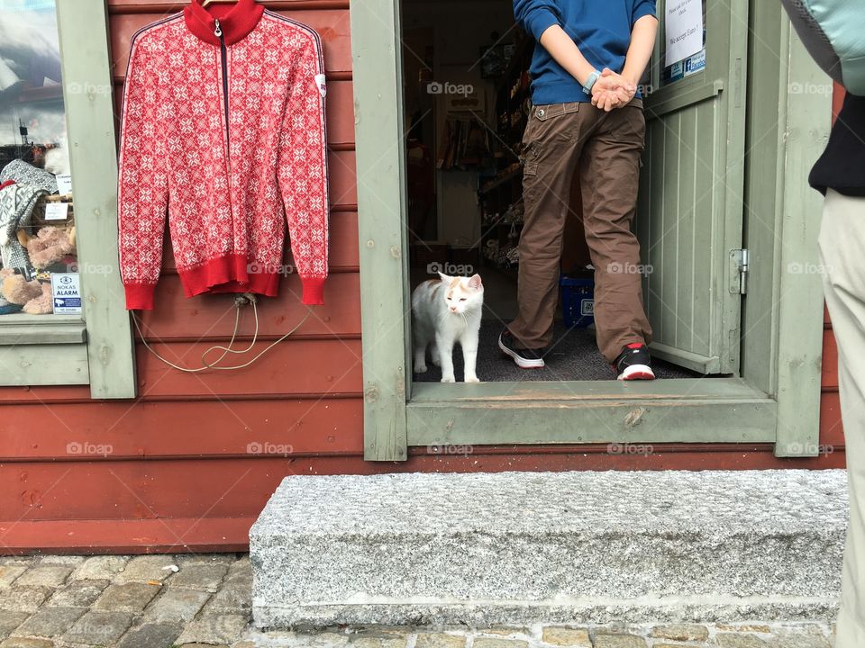 Door, People, Woman, Street, Fashion