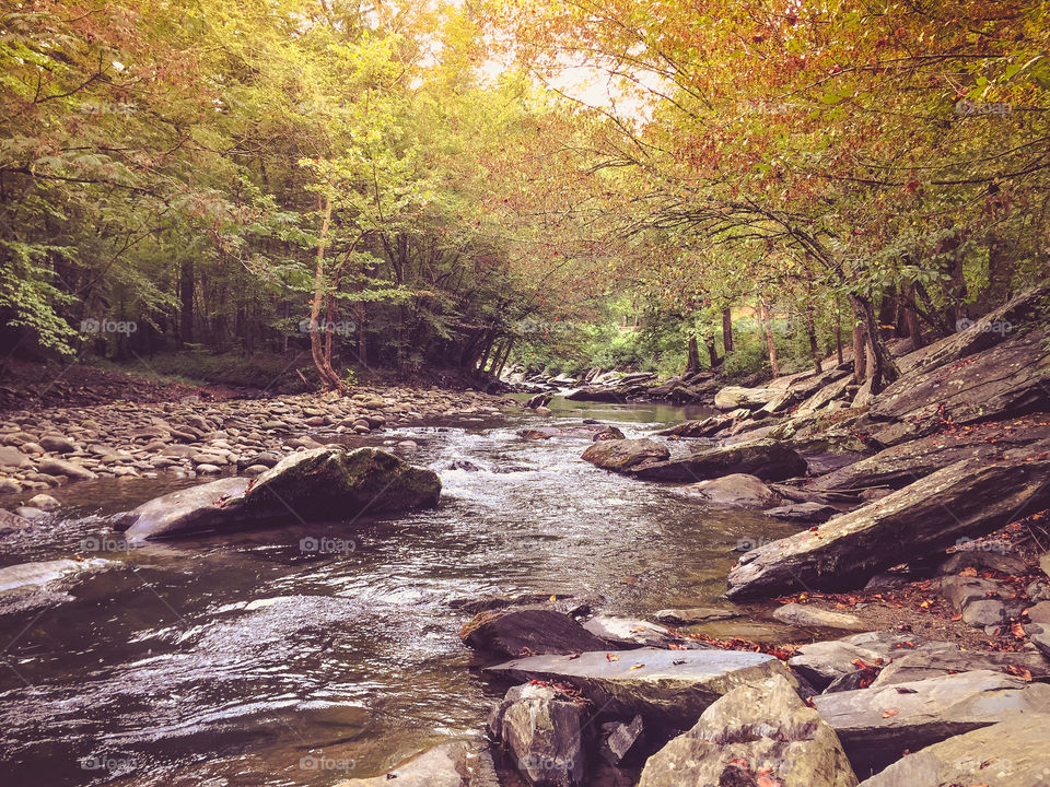 Rocky Creek in the Smokie Mountains in Tennessee