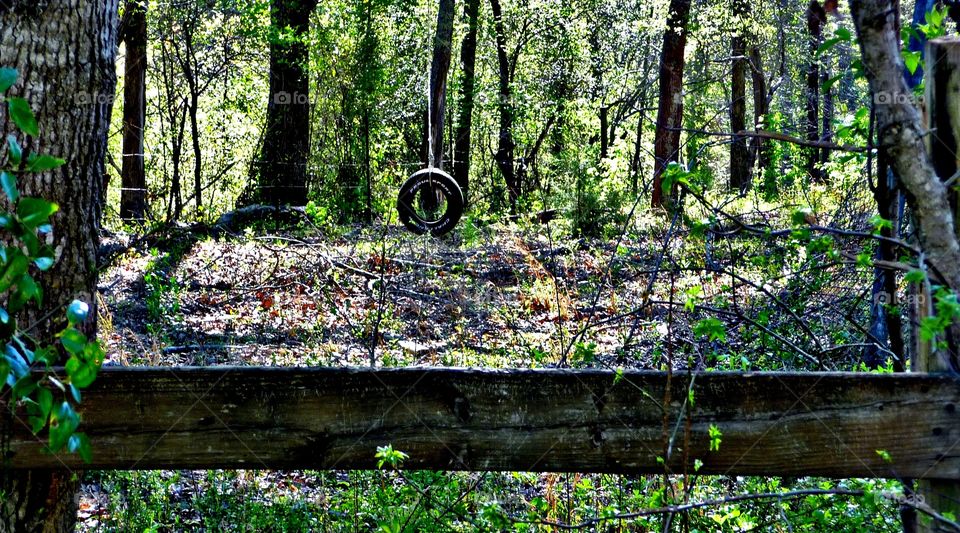 tire swing