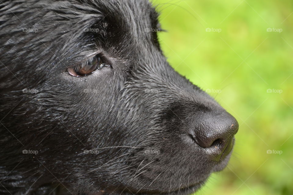 Watching children play