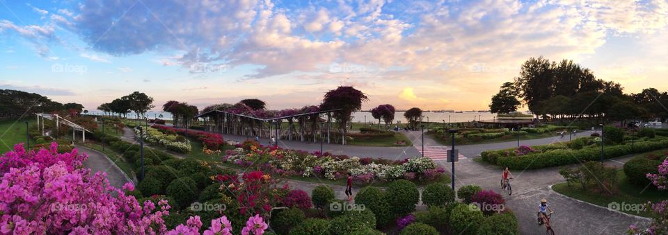 East Coast Park. A snapshot of East Coast Park in Singapore