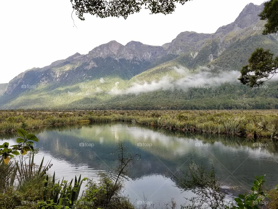 Foggy lake