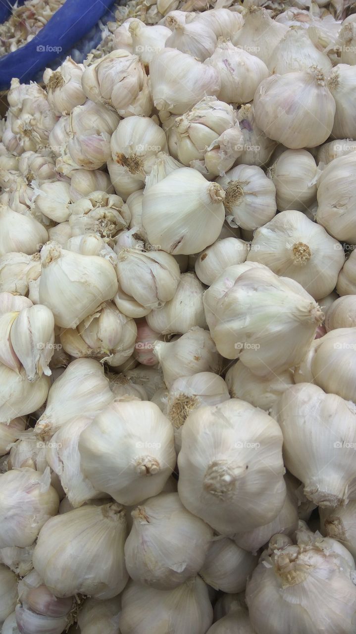 garlic