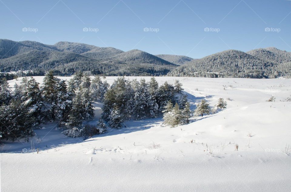 Winter landscape