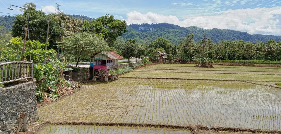 being in the open makes me happy