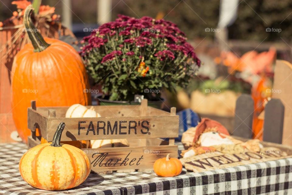 Pumpkin picking at the local farmers market for autumn fall 