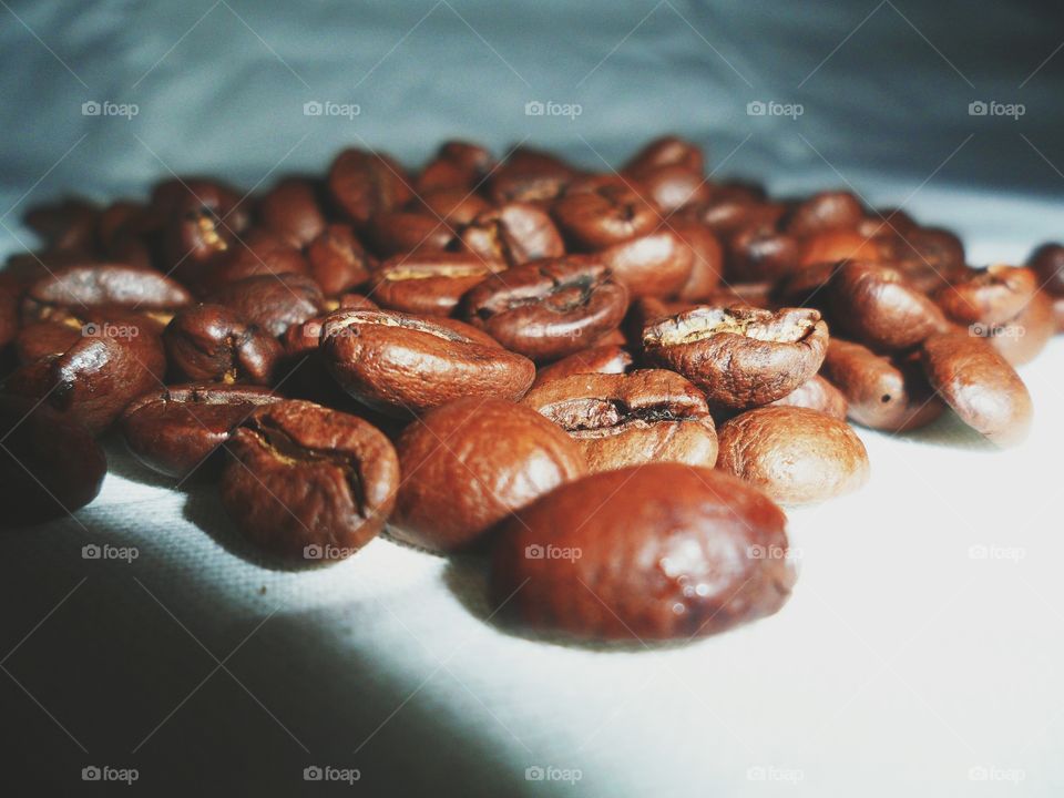 Coffee beans on white background