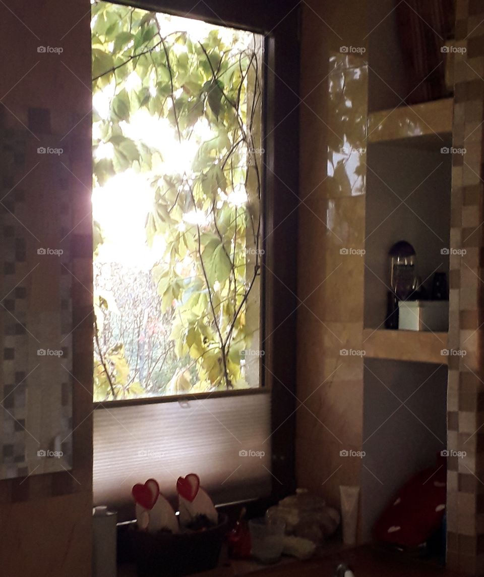 early morning sun seen through the bathroom window