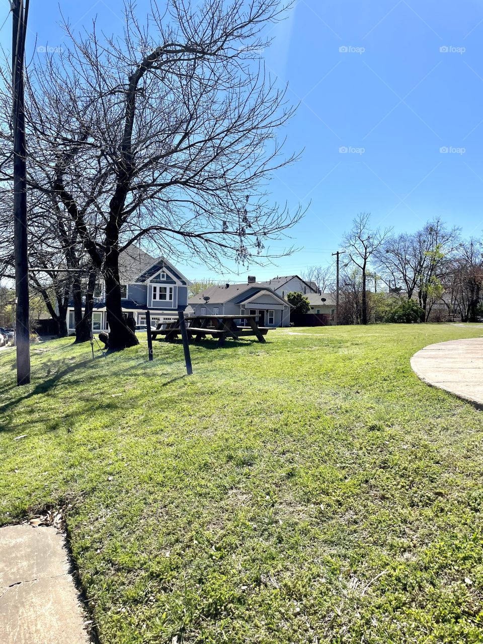 A beautiful day for a stroll in the park 