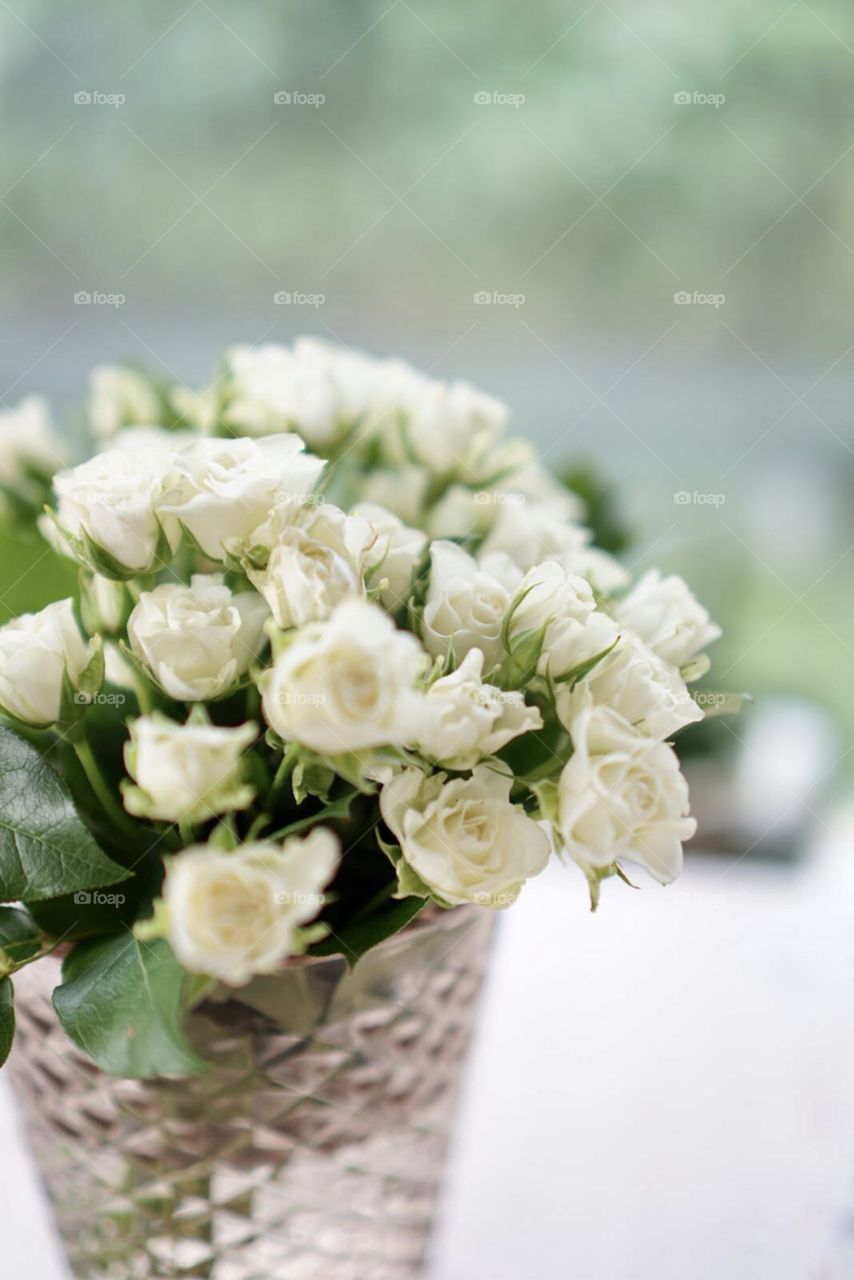 Bouquet of white small roses 