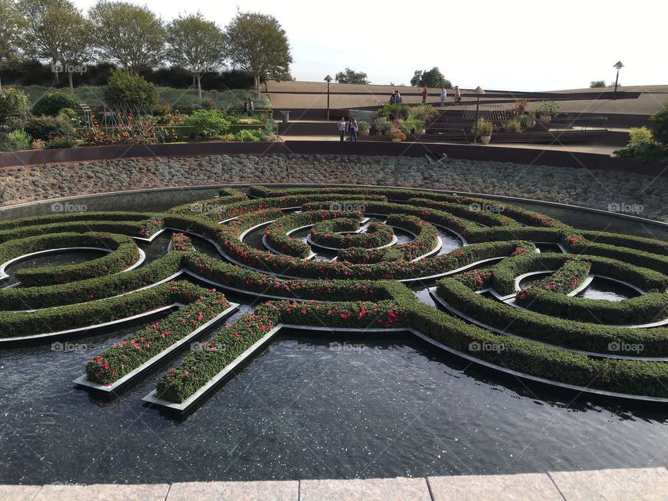 Little maze of flowers