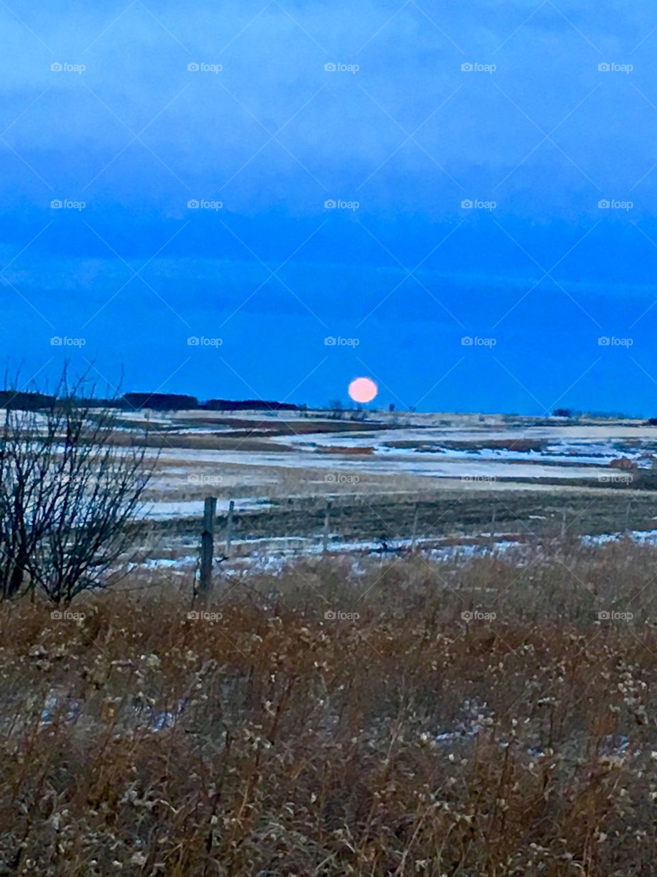 Winter super moon on the prairies