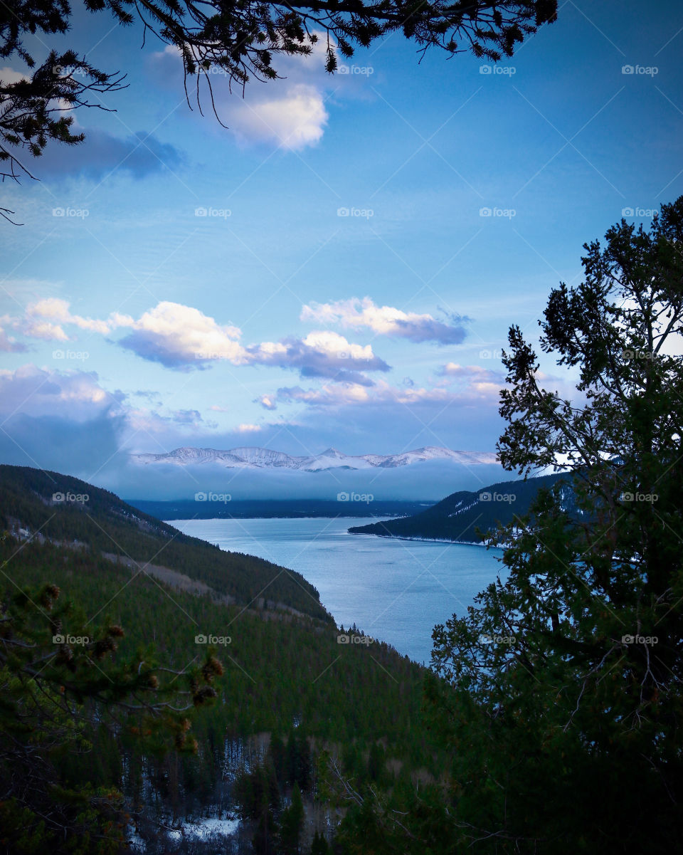 Lake overlook on a cold and windy day surrounded by pine trees.
