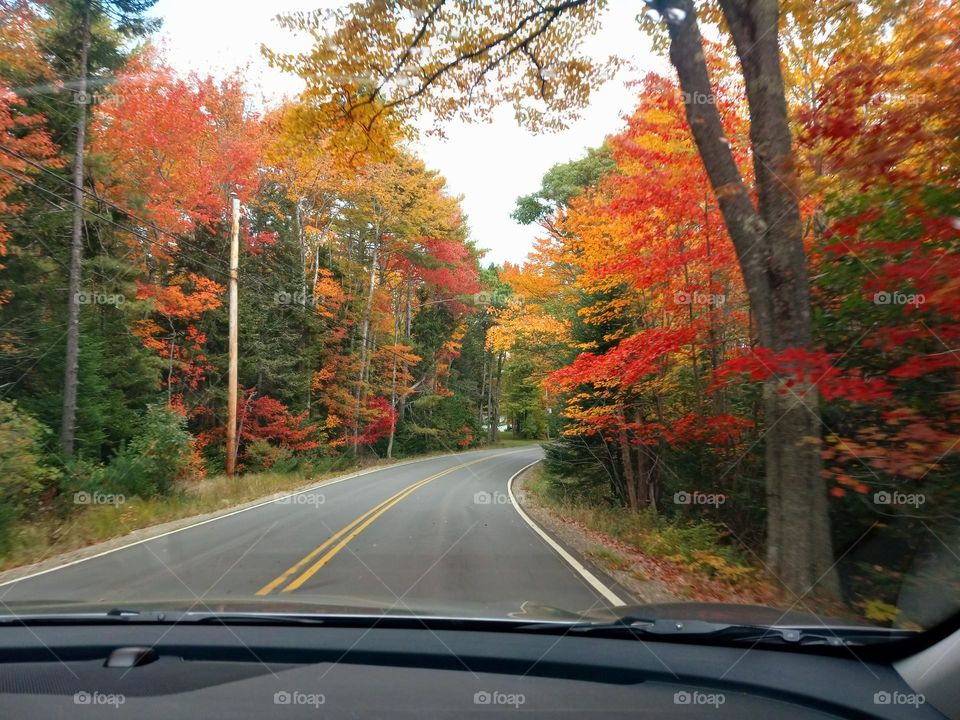 A country drive yields stunning fall colors.  What a nice surprise!