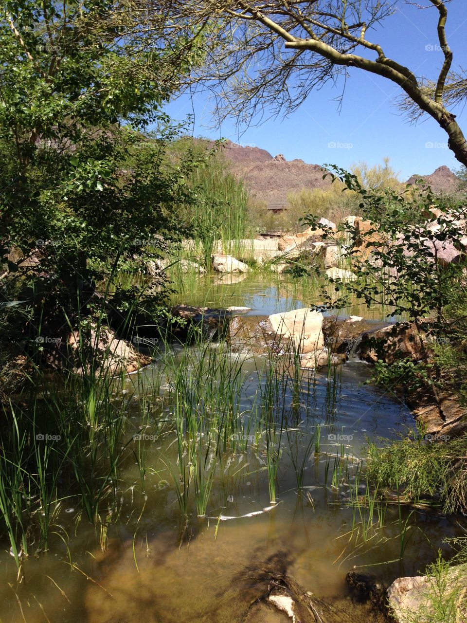 Fall creek . Old Tucson sene